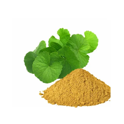 Bacopa-Monnieri-Extract.webp Bacopa-Monnieri-Extract.webp