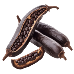 Alkalized Cocoa Powder 10-12%