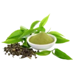 Green Tea Extract