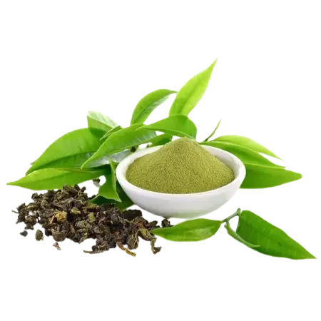 Green-Tea-Extract.webp