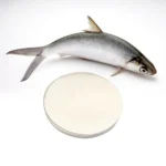 Fish Collagen