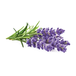 Modified Corn Starch Cold Swelling