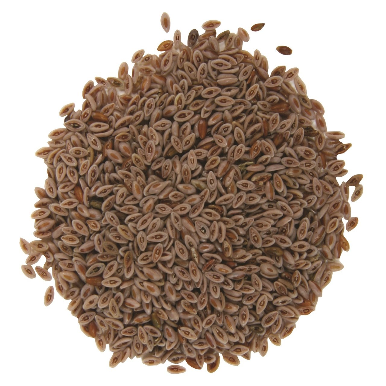 Psyllium.jpg
