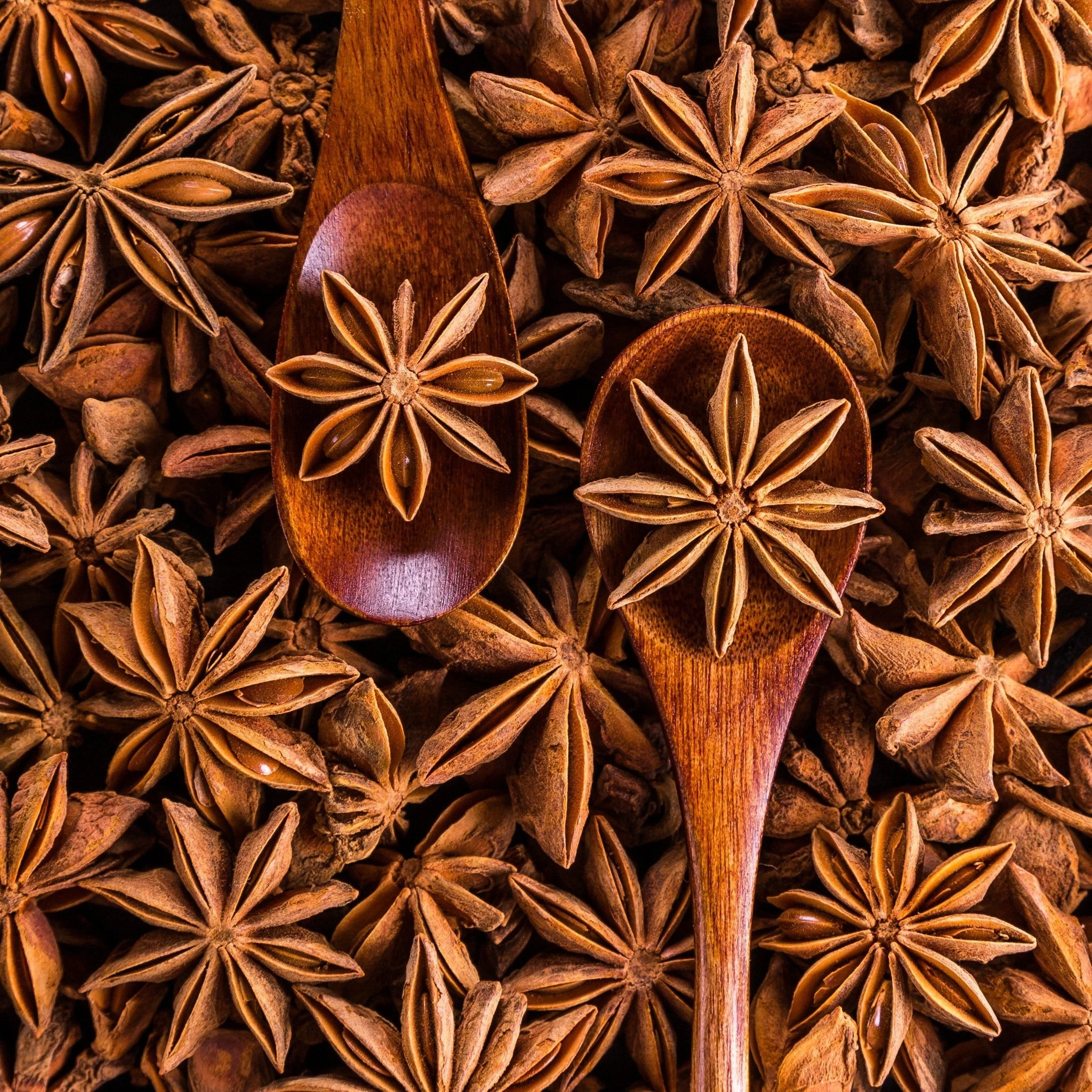 Star-Anise.webp
