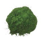 Chlorella